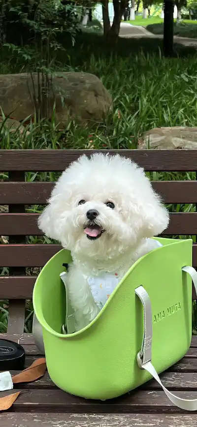 cute animal