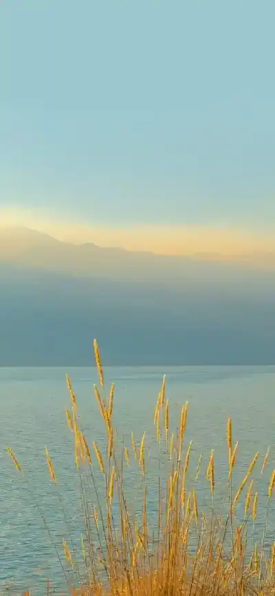 nature