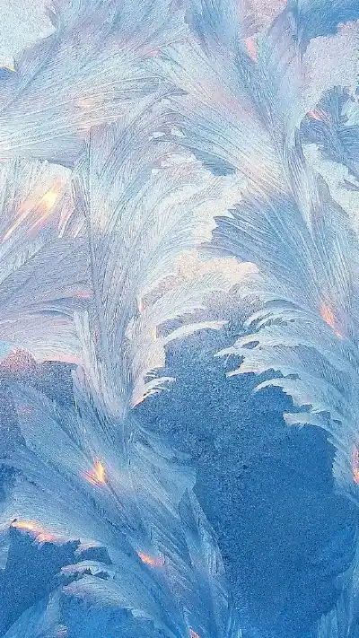 winter