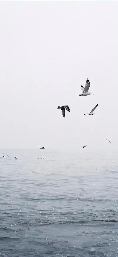 nature