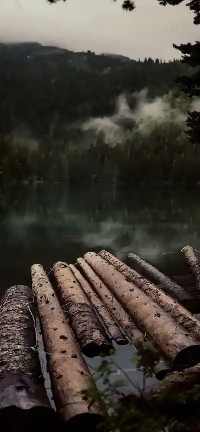 nature