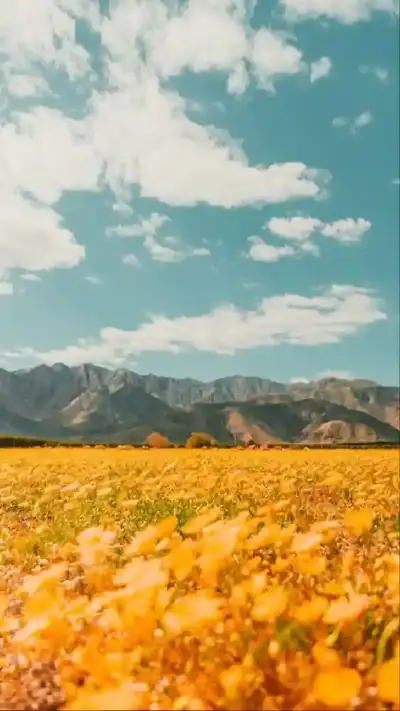 nature