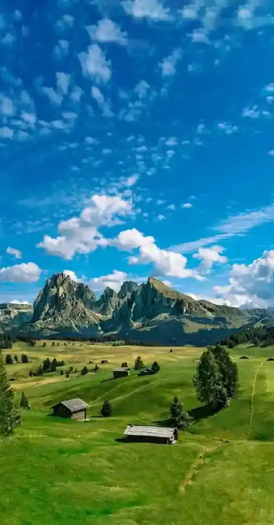 nature