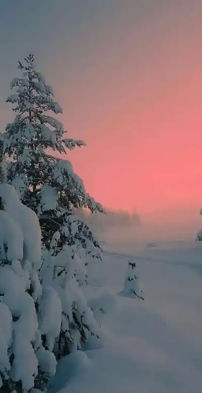 winter