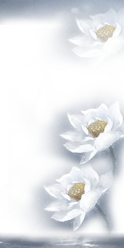 莲花