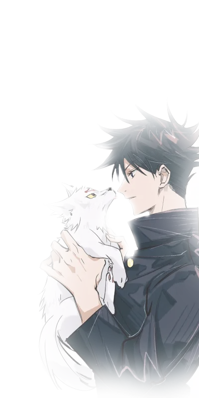 猫的少年