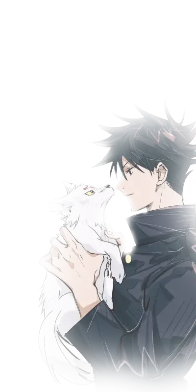 猫的少年