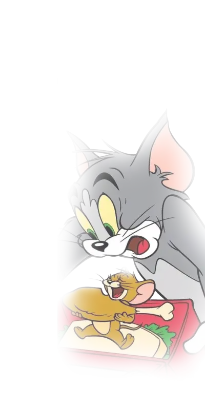 猫和老鼠