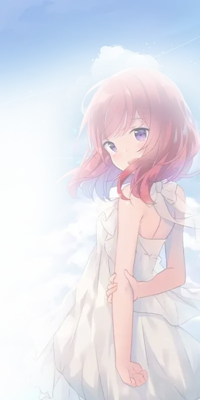 夙愿