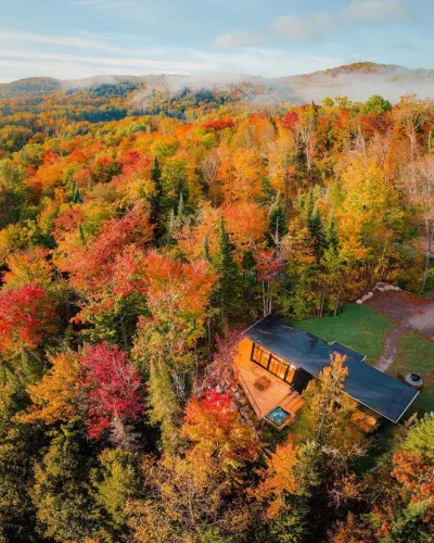 autumn