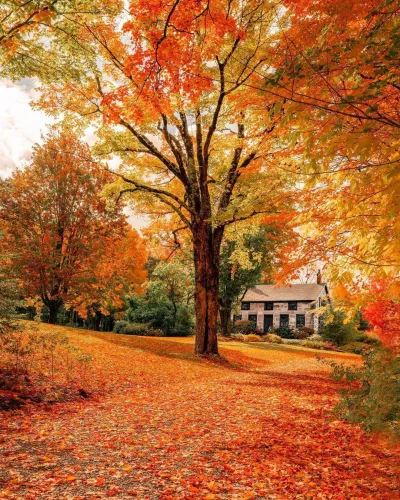autumn