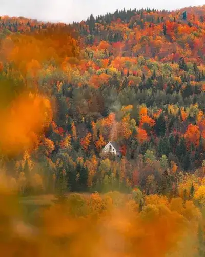 autumn