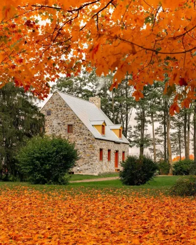 autumn