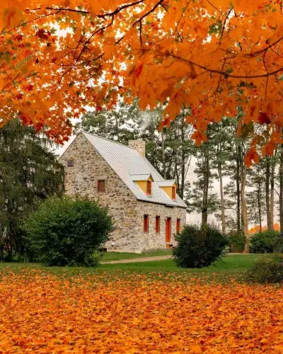 autumn