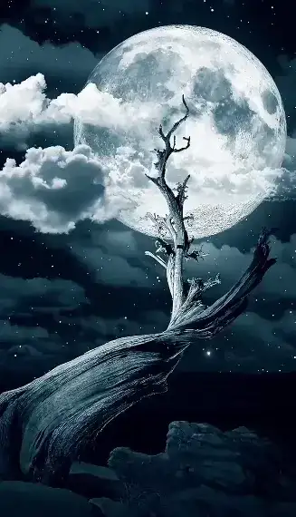 moonlight