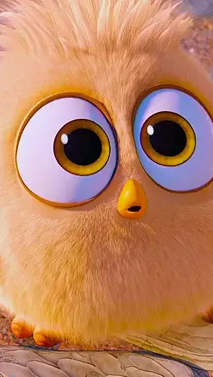 bird