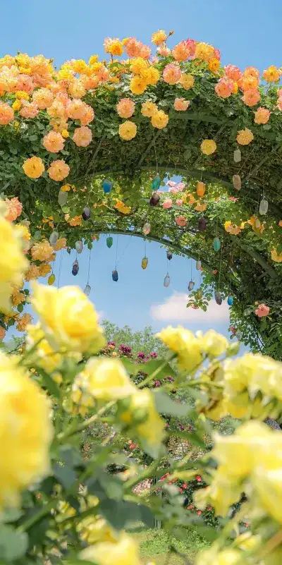 nature