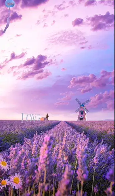 nature