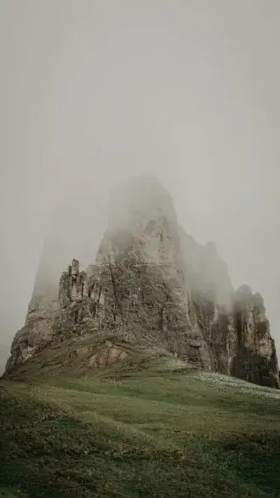 nature