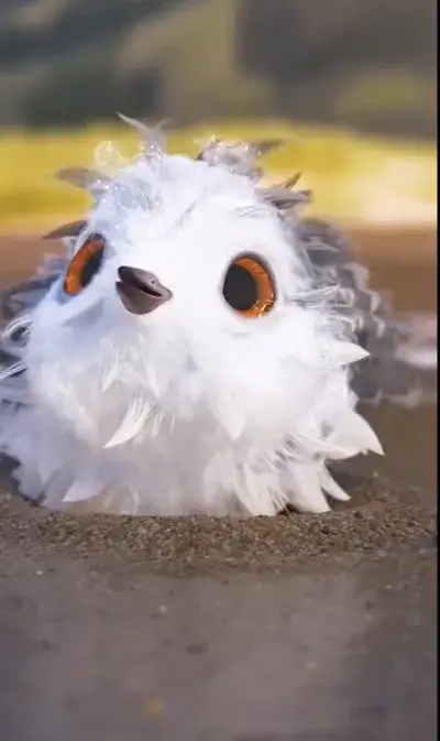 animal