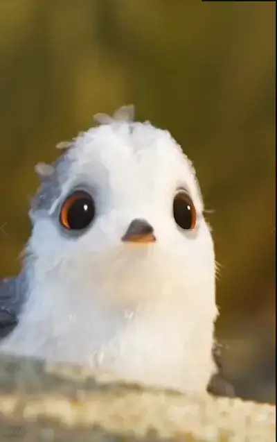 animal