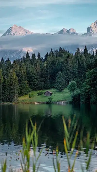 nature