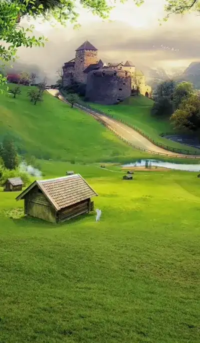 nature