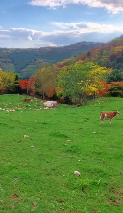 nature