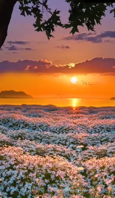 nature