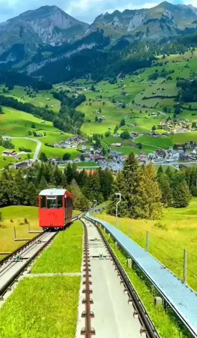 nature