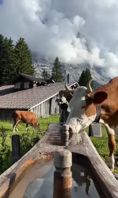 nature