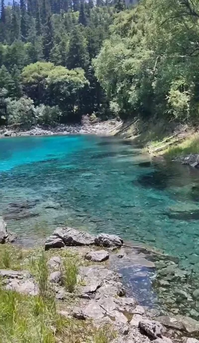 nature