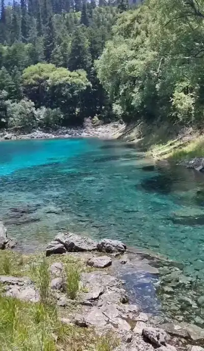 nature