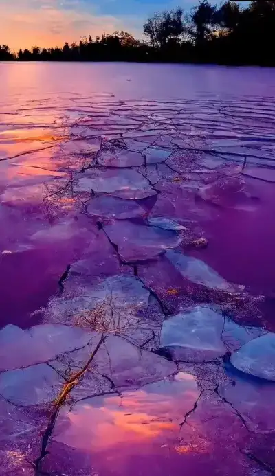 nature