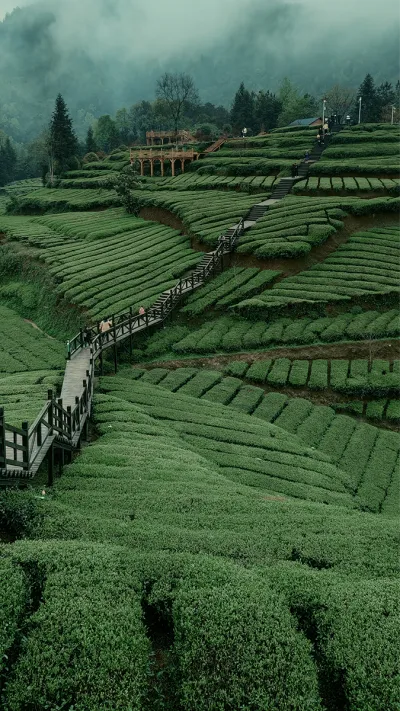 nature