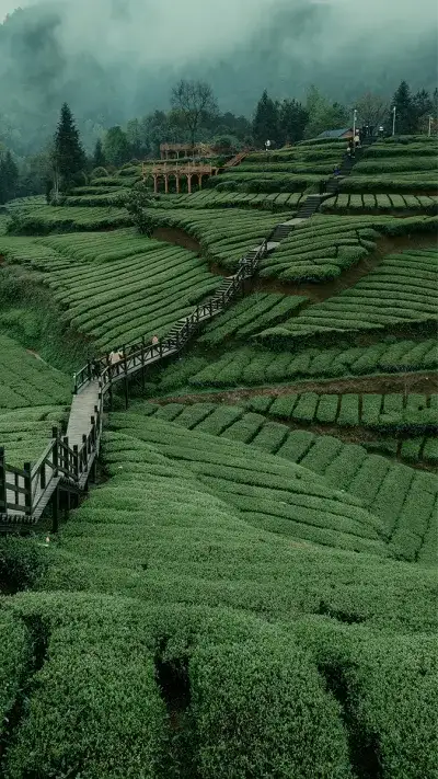 nature