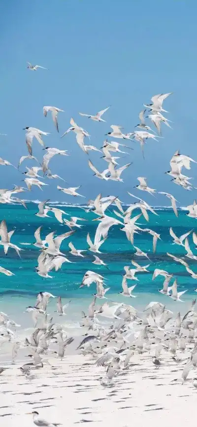 nature