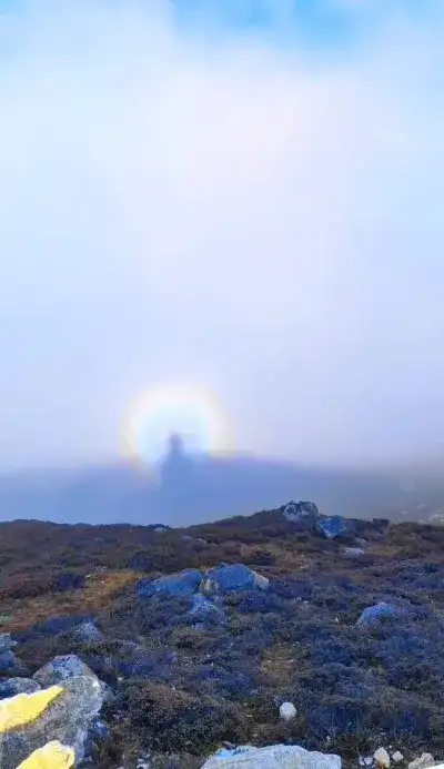 nature