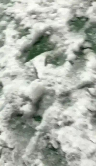 nature