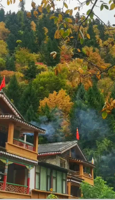 nature