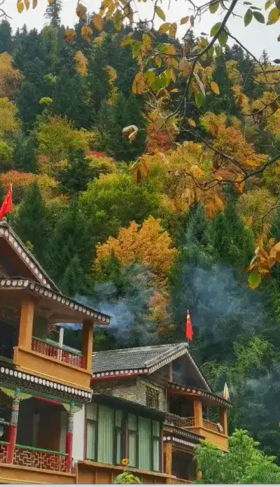 nature