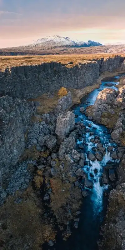 nature