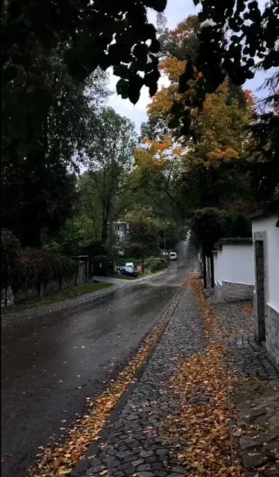 nature