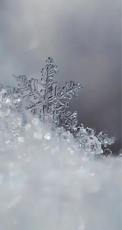 winter