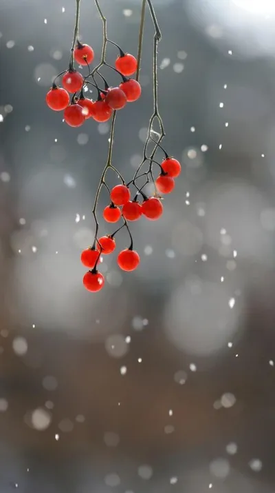 winter