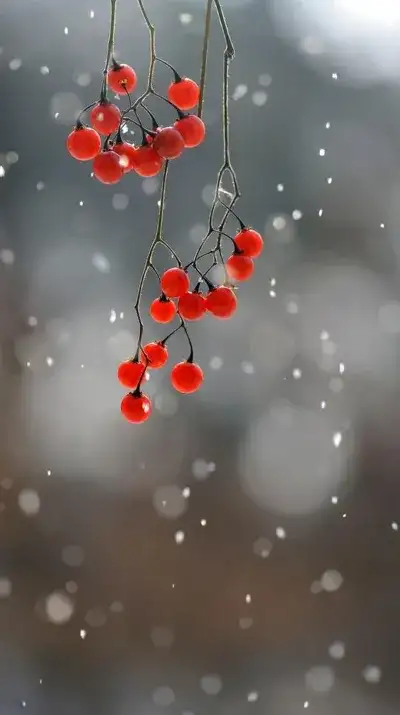 winter