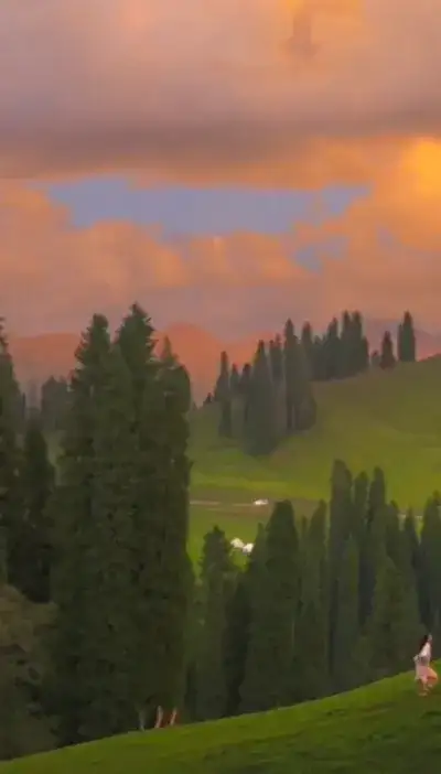 nature
