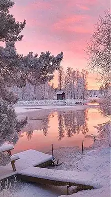 nature