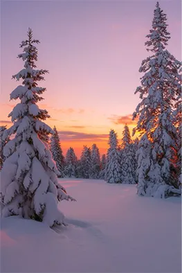 nature