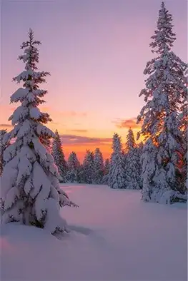 nature